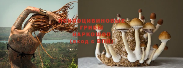 эйфоретик Армянск