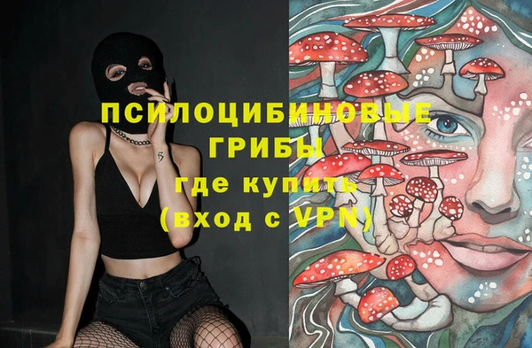 меф Арсеньев