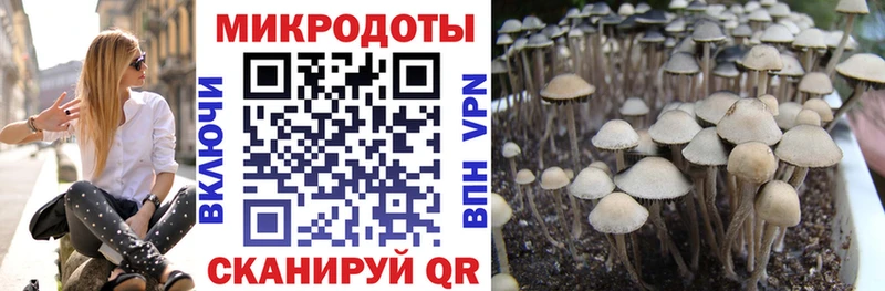Галлюциногенные грибы Cubensis  Пыть-Ях 